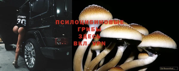 гидропоника Каменка