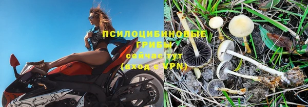 гидропоника Каменка