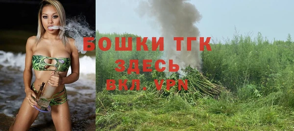 гидропоника Каменка