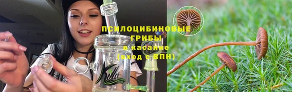 гидропоника Каменка