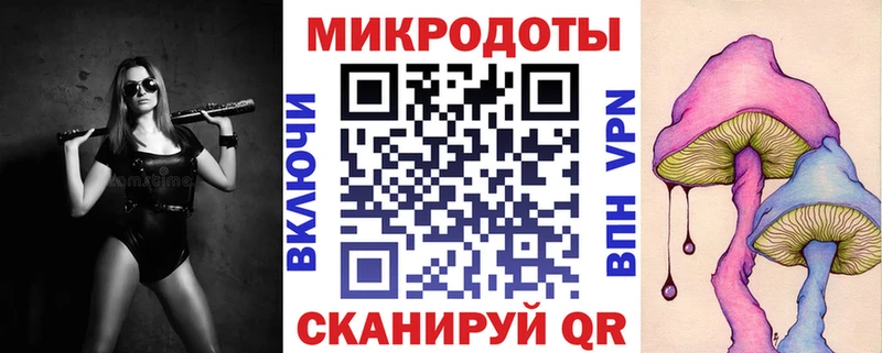 Псилоцибиновые грибы Psilocybine cubensis  площадка как зайти  Юрюзань 